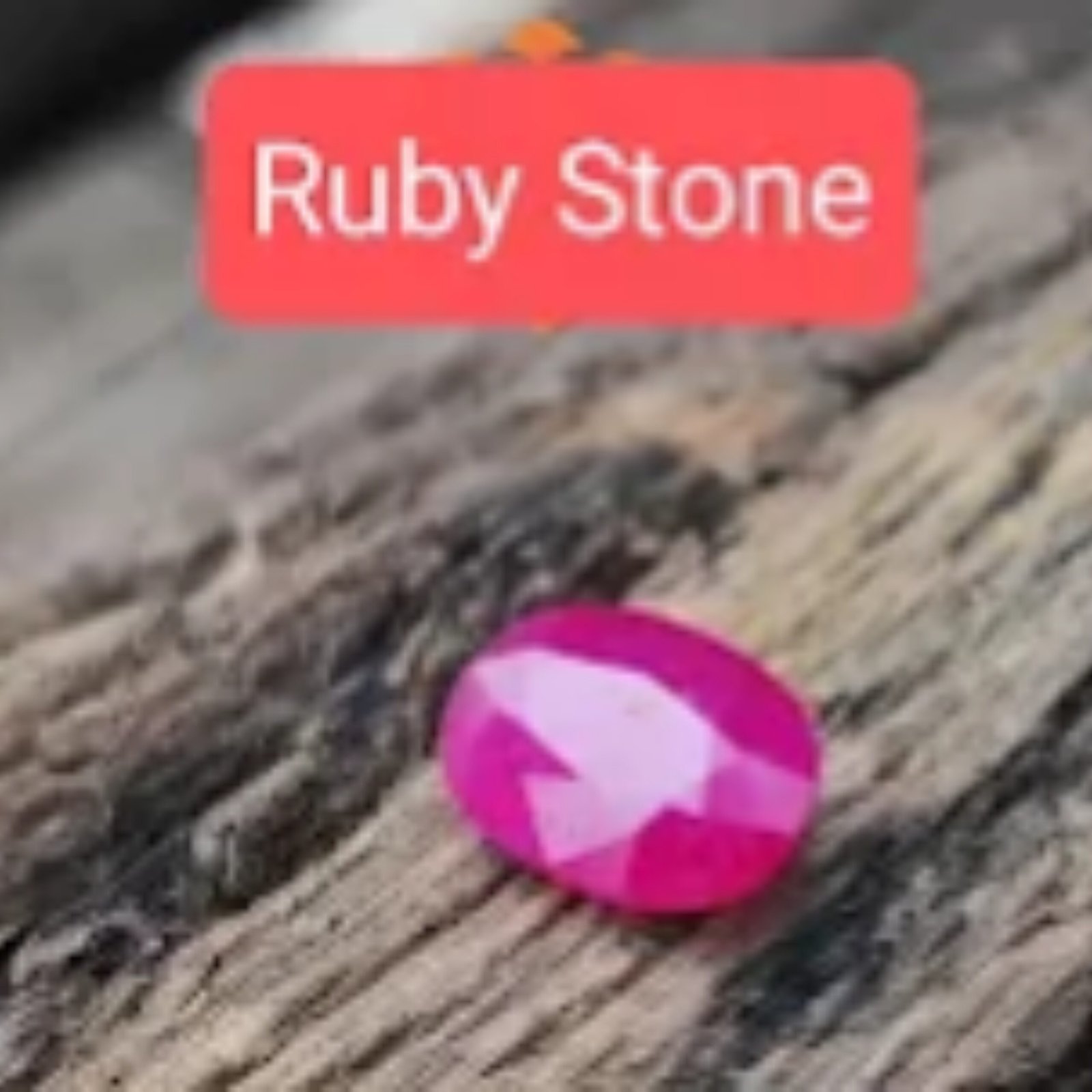 untitled design 2026 02 11t131516.048